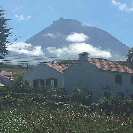 Home Pico - Casa Dos Cedros Criacao Velha Экстерьер фото