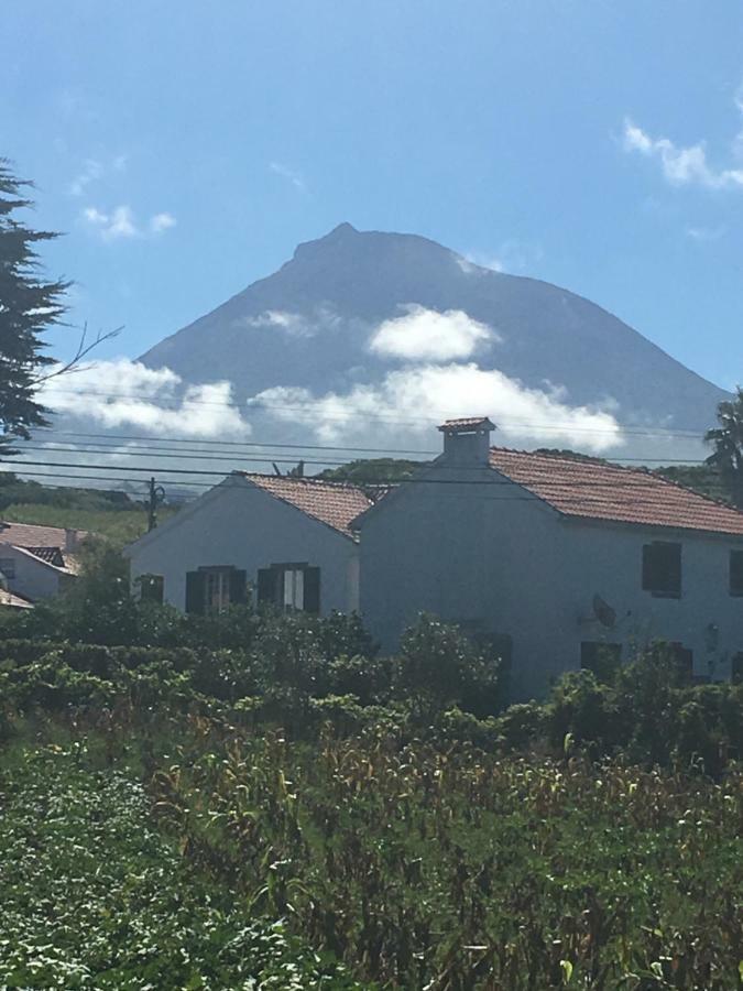 Home Pico - Casa Dos Cedros Criacao Velha Экстерьер фото